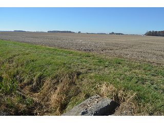 Tract 2 - FARMLAND AUCTION - 165.5+/- ACRES OFFERED IN 5 TRACTS OR COMBINATIONS IN EAST ALLEN COUNTY